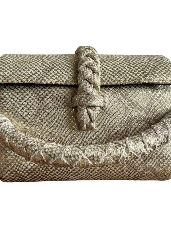 Nanya mini, with chain attached strap.
Silver gold toned